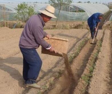 有機(jī)肥有哪些優(yōu)勢(shì)