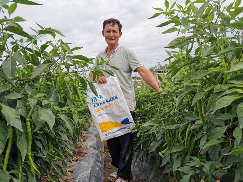 水溶肥價(jià)格高低對(duì)作物產(chǎn)量有哪些影響？