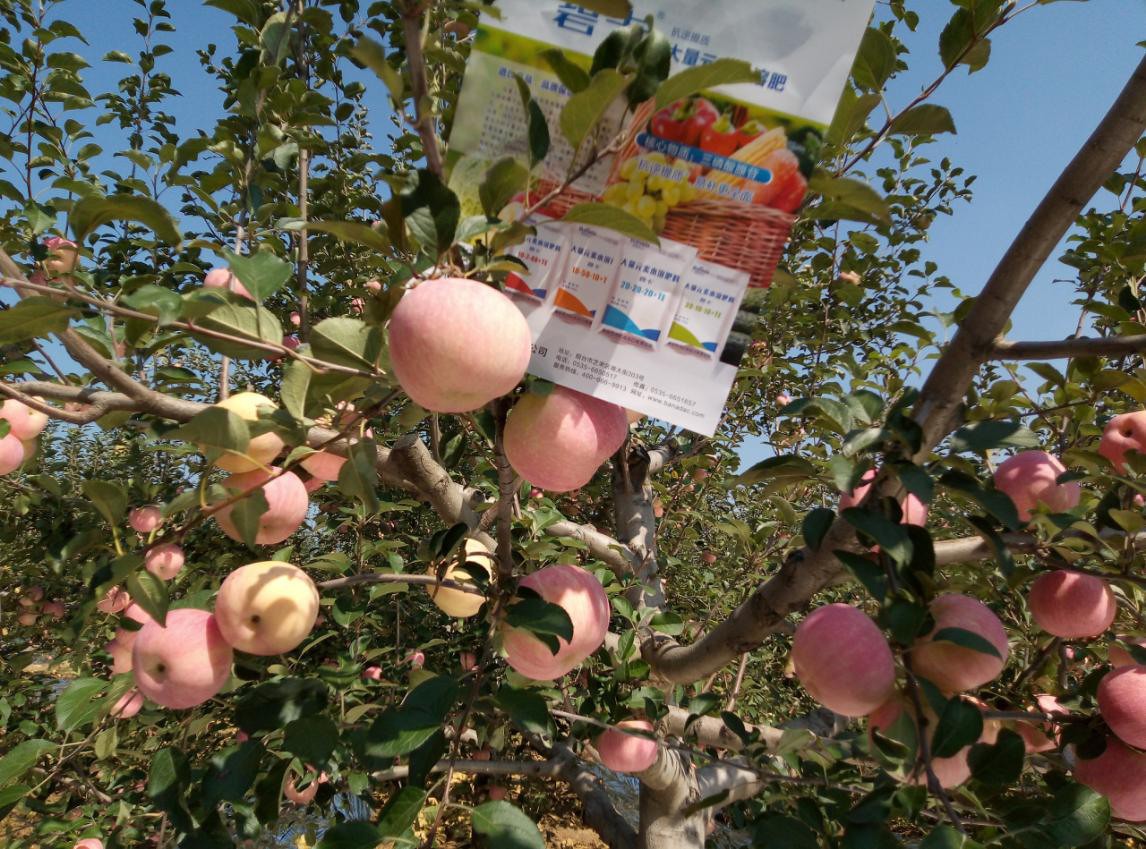 水溶肥品牌哪個(gè)好