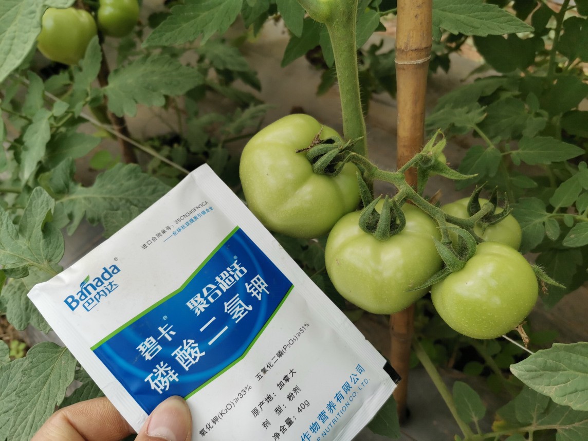 磷酸二氫鉀的正規(guī)廠家應(yīng)具備哪些要素？